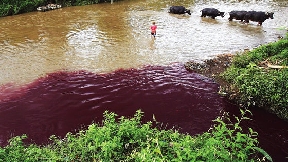 Detangling the Negative Impact of the Fast-Fashion Industry