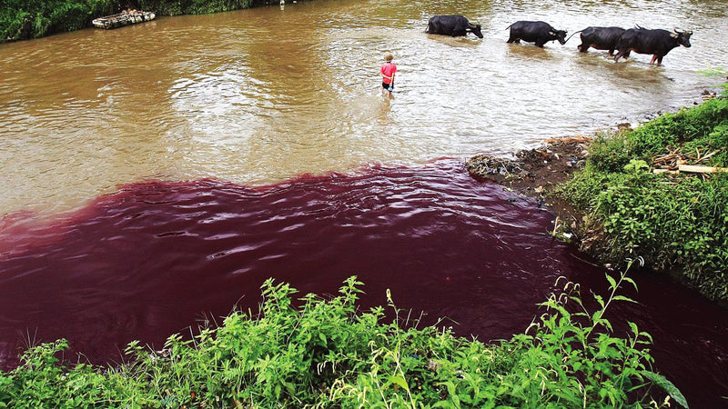 Detangling the Negative Impact of the Fast-Fashion Industry